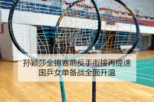 孙颖莎全锦赛前反手衔接再提速 国乒女单备战全面升温